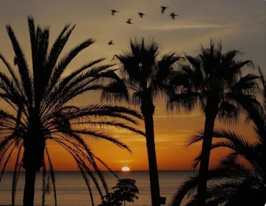 Apartament Bonito Estudio Carihuela Con Terraza, Wifi, Playa A 150 Metros